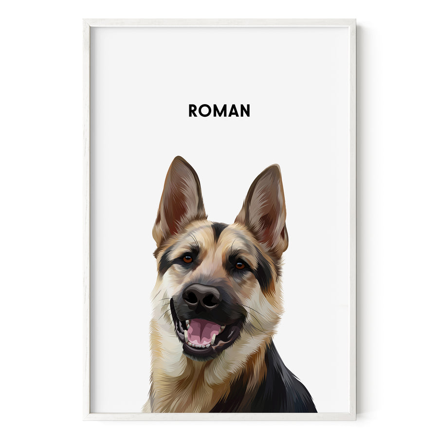 Modern GSD Pet Portrait - Soft White Background
