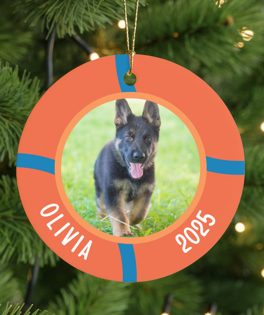Fetch Ball Photo Ornament