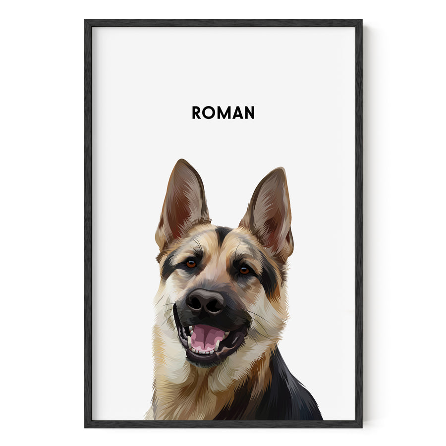 Modern GSD Pet Portrait - Soft White Background