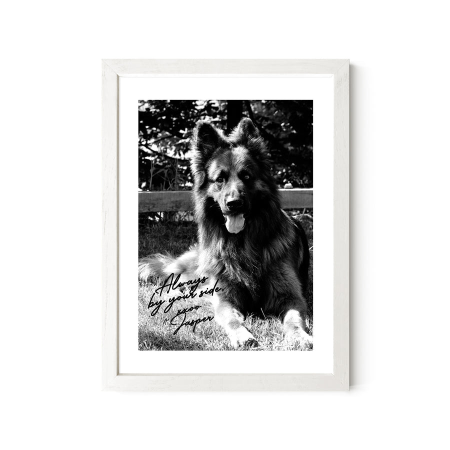 Black & White Autograph GSD Portrait - Tabletop Display