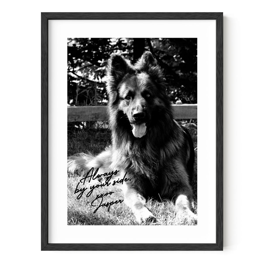 GSD Autograph Pet Portrait - Black & White