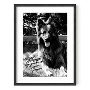 GSD Autograph Pet Portrait - Black & White