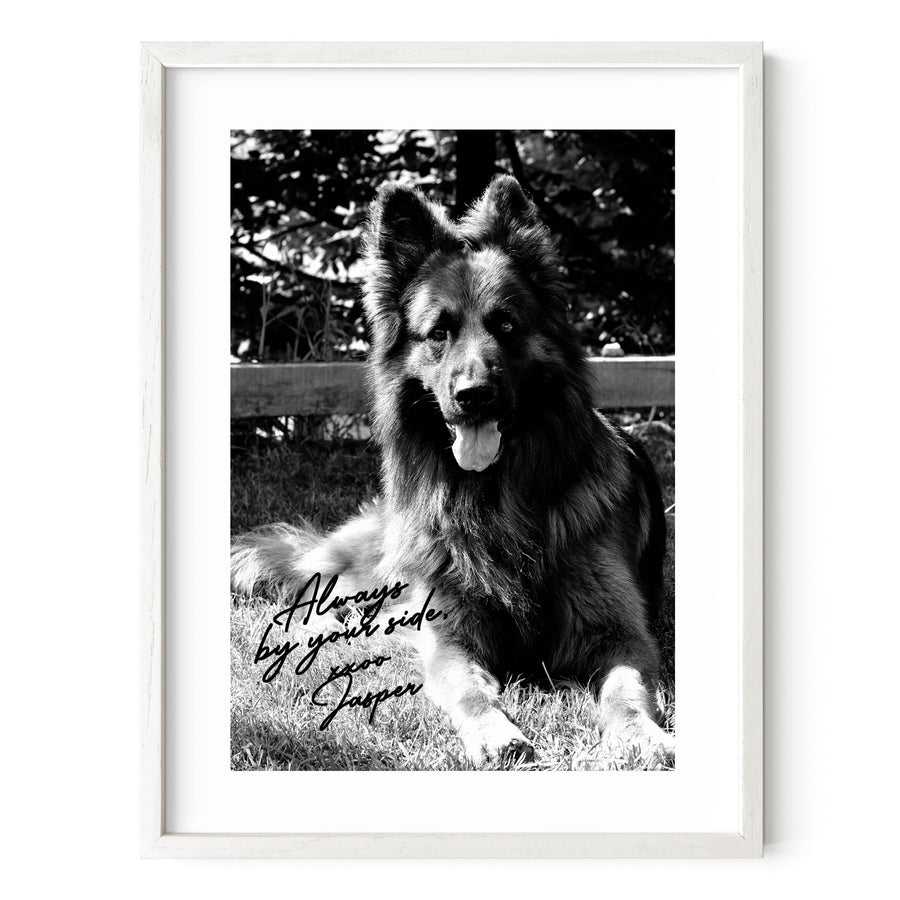 GSD Autograph Pet Portrait - Black & White